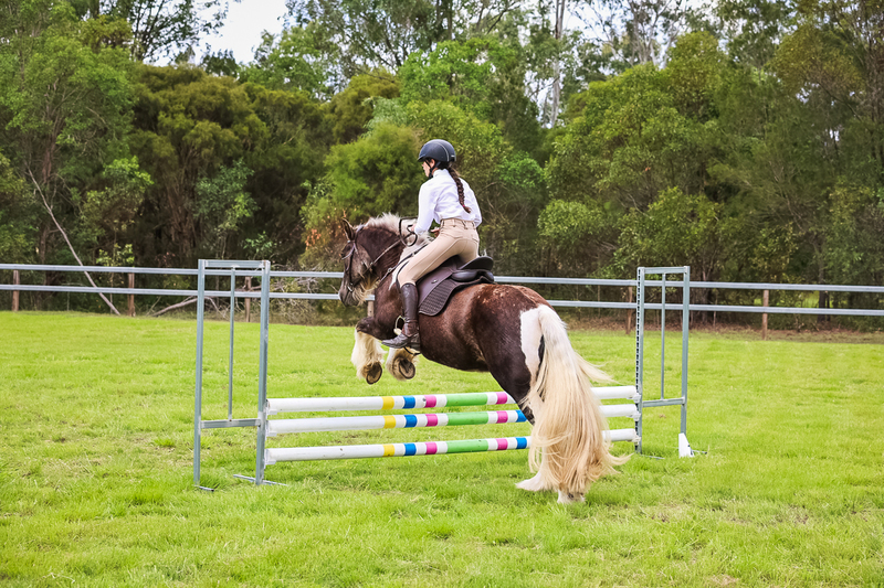 SREC March 2026 65-7431.jpg