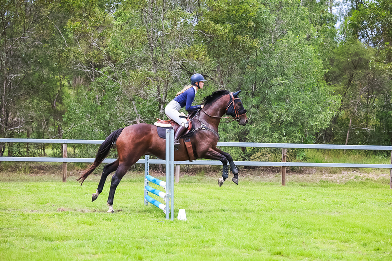 SREC March 2026 65-7449.jpg