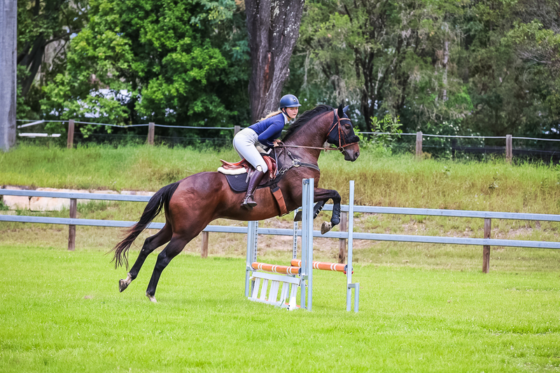 SREC March 2026 65-7451.jpg