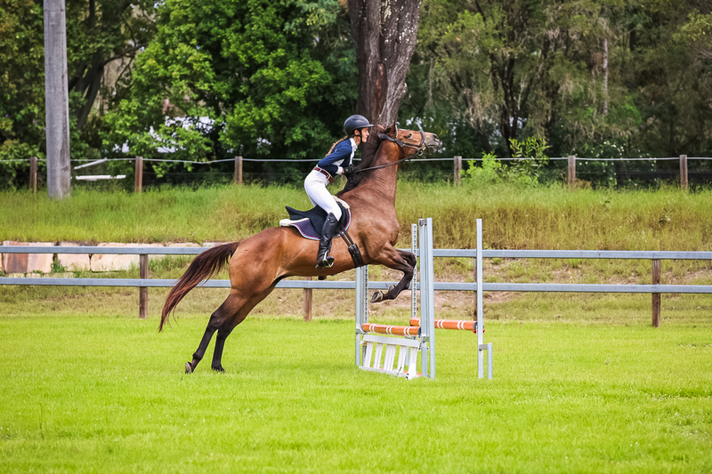 SREC March 2026 65-7567.jpg