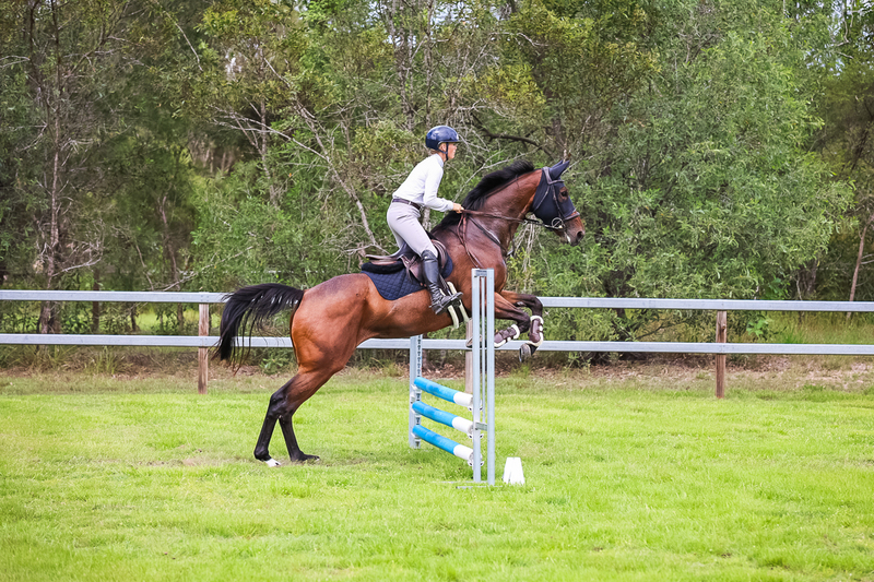 SREC March 2026 65-7587.jpg