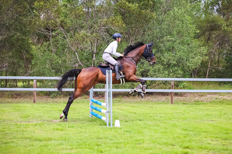 SREC March 2026 65-7588.jpg