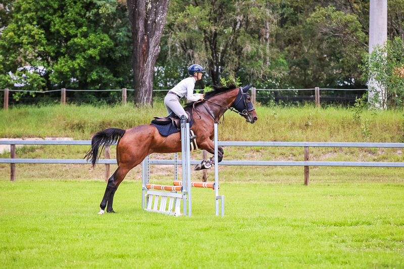 SREC March 2026 65-7591.jpg