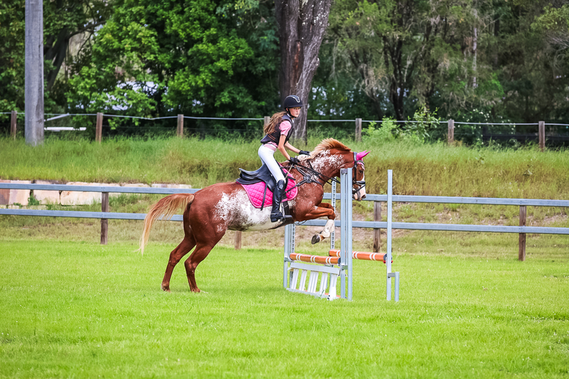 SREC March 2026 65-7638.jpg