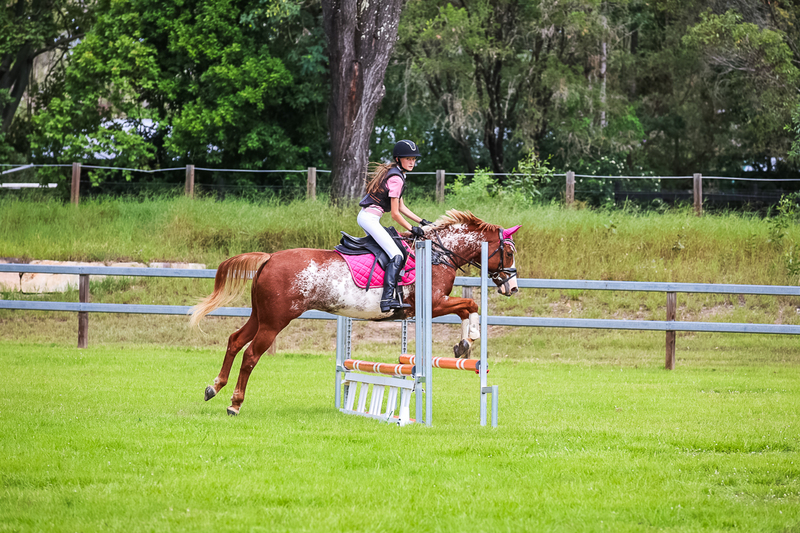 SREC March 2026 65-7639.jpg