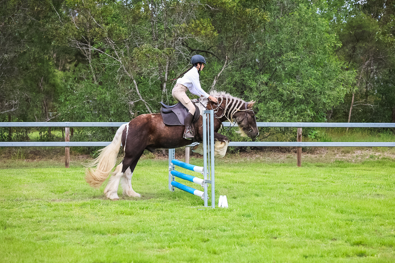 SREC March 2026 65-7662.jpg