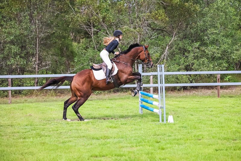 SREC March 2026 75-7802.jpg