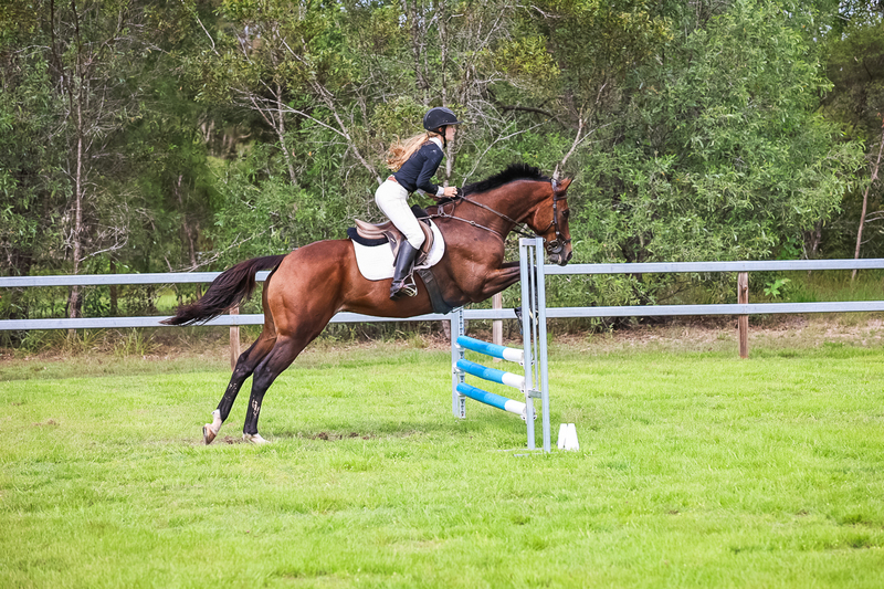 SREC March 2026 75-7803.jpg