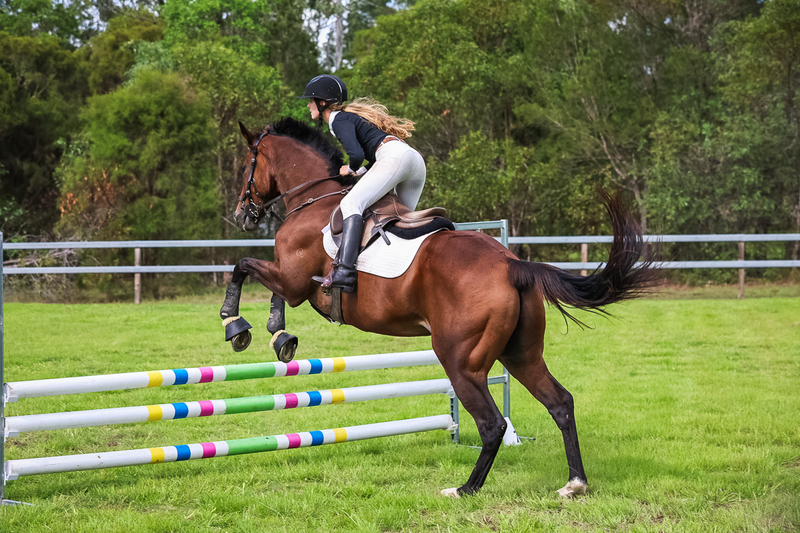 SREC March 2026 75-7810.jpg