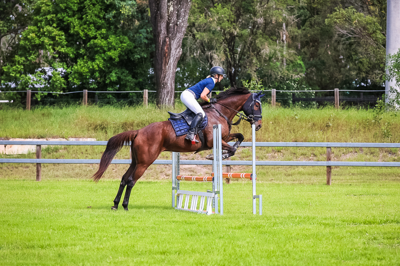 SREC March 2026 75-7831.jpg