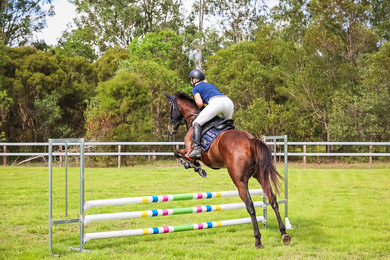 SREC March 2026 75-7835.jpg