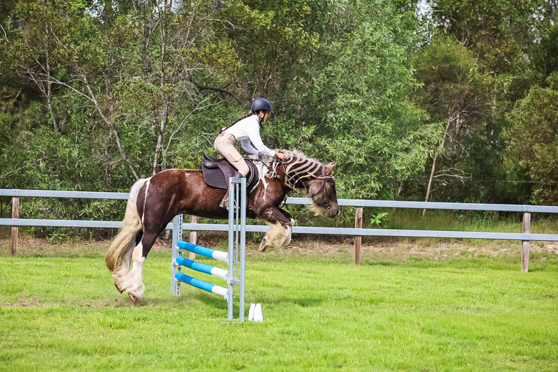 SREC March 2026 75-7878.jpg