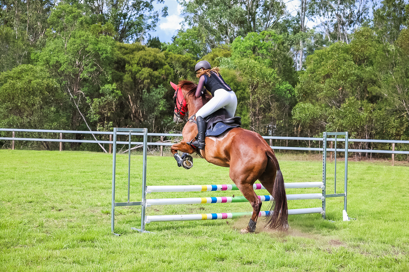 SREC March 2026 75-7957.jpg