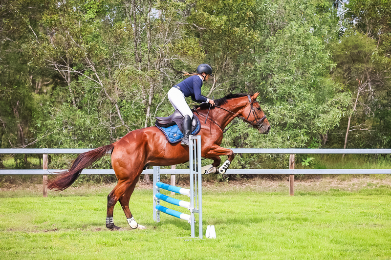 SREC March 2026 75-7973.jpg