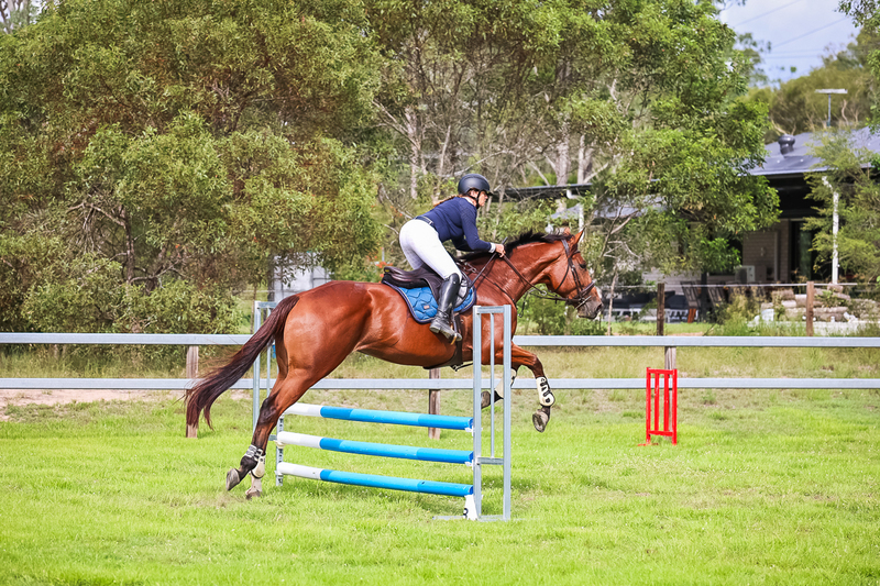 SREC March 2026 75-7976.jpg