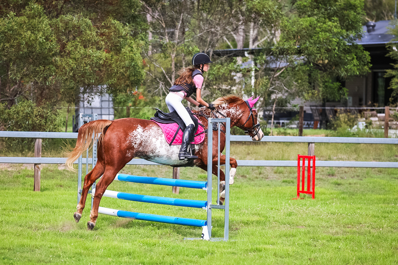 SREC March 2026 75-8002.jpg