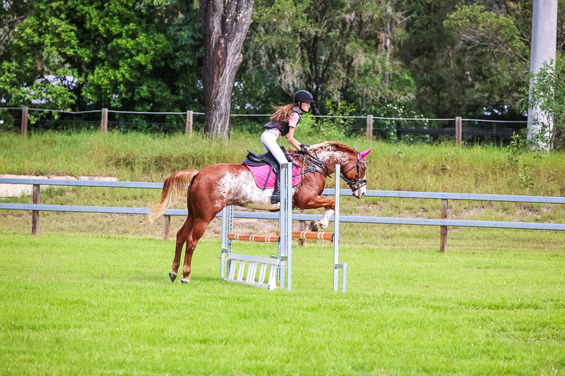 SREC March 2026 75-8004.jpg