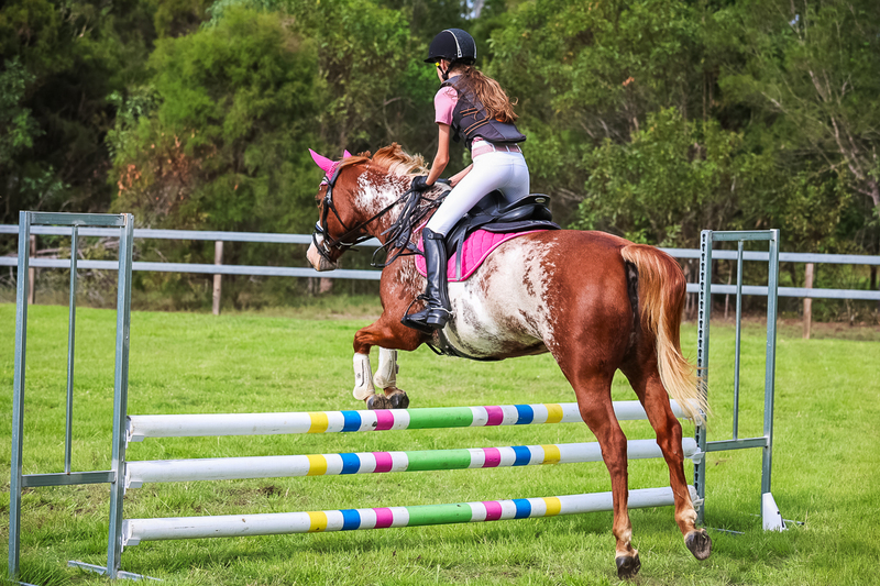 SREC March 2026 75-8008.jpg