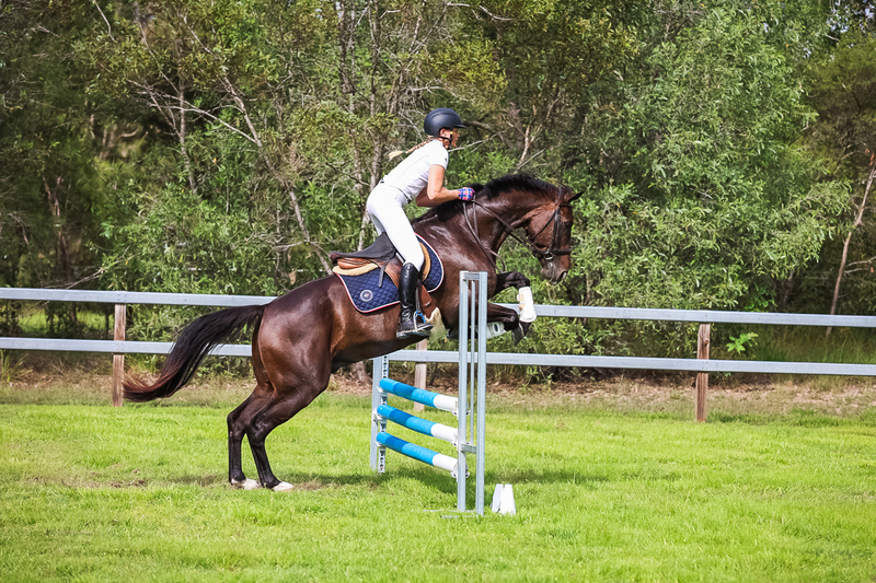 SREC March 2026 75-8023.jpg