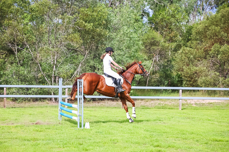 SREC March 2026 75-8047.jpg