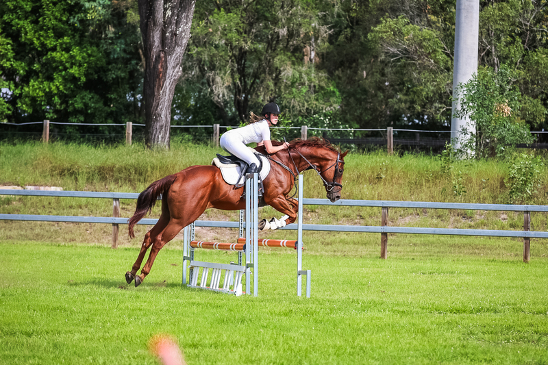 SREC March 2026 75-8050.jpg