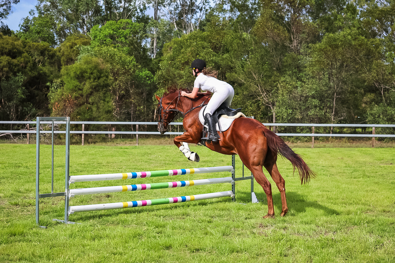 SREC March 2026 75-8053.jpg