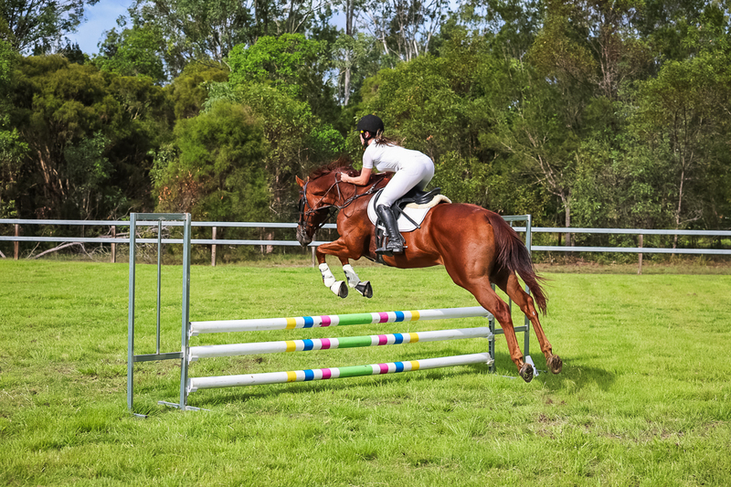 SREC March 2026 75-8054.jpg