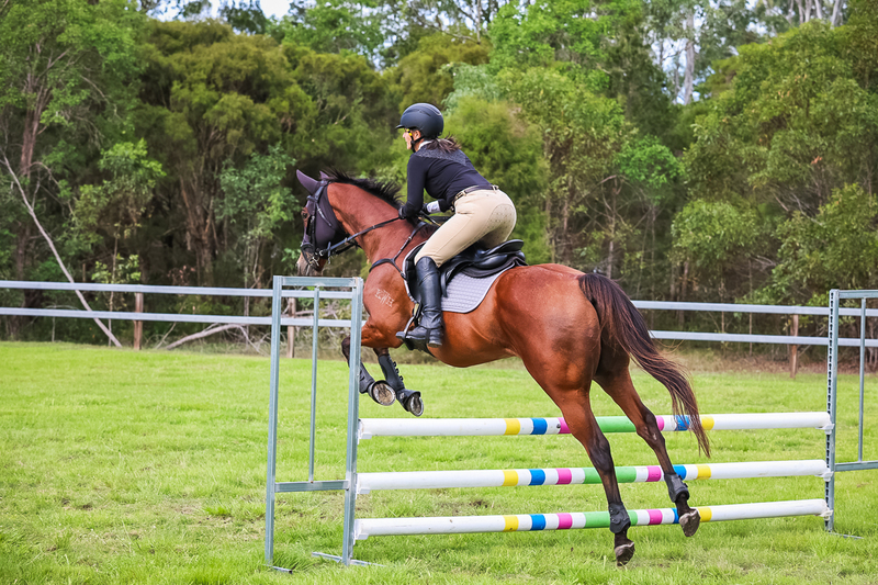 SREC March 2026 85-8100.jpg