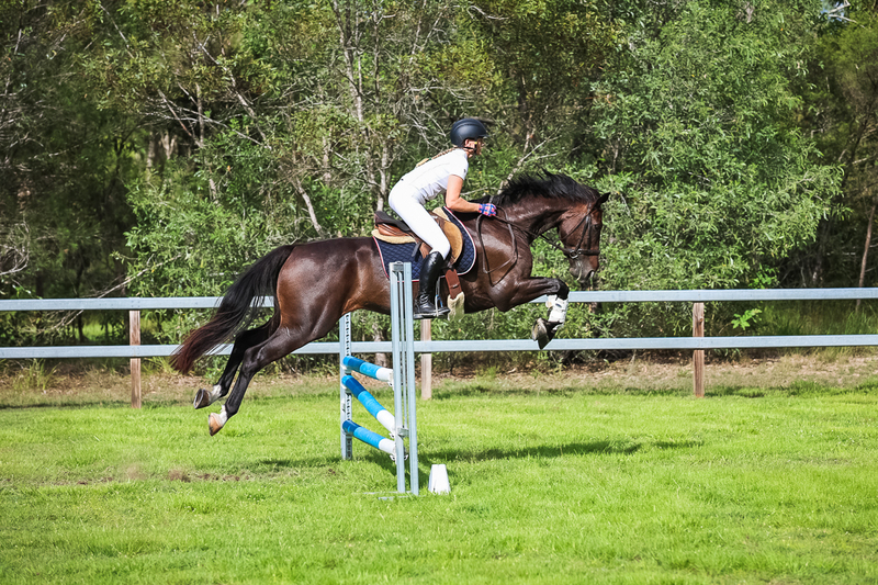 SREC March 2026 85-8138.jpg