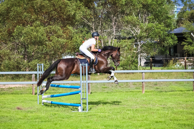 SREC March 2026 85-8140.jpg