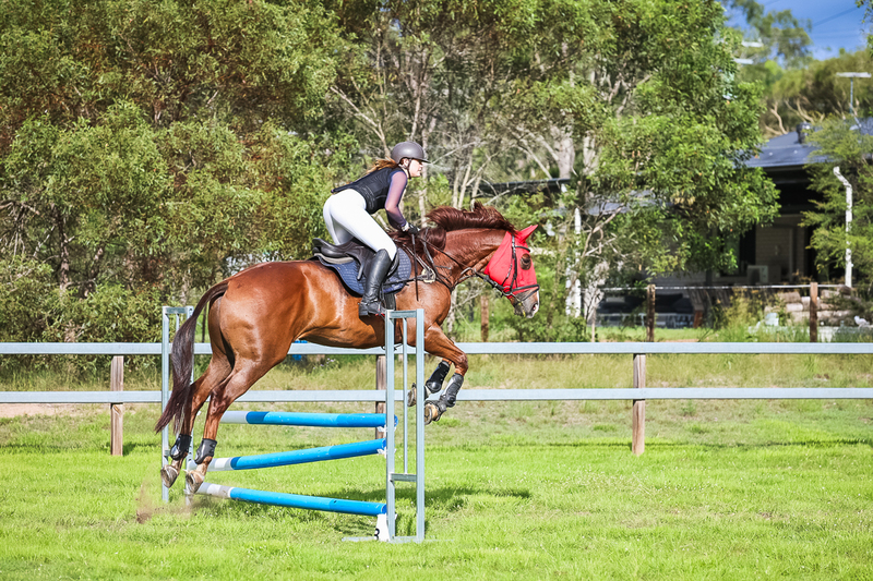 SREC March 2026 85-8146.jpg