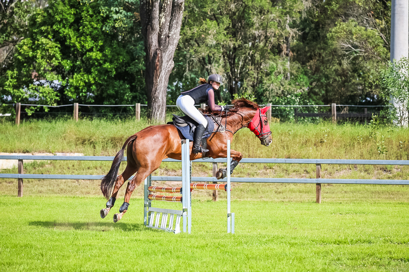 SREC March 2026 85-8148.jpg