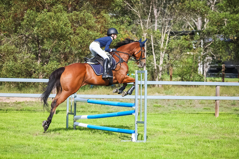 SREC March 2026 85-8169.jpg