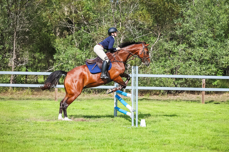 SREC March 2026 85-8211.jpg