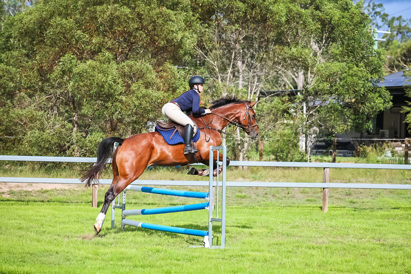 SREC March 2026 85-8213.jpg