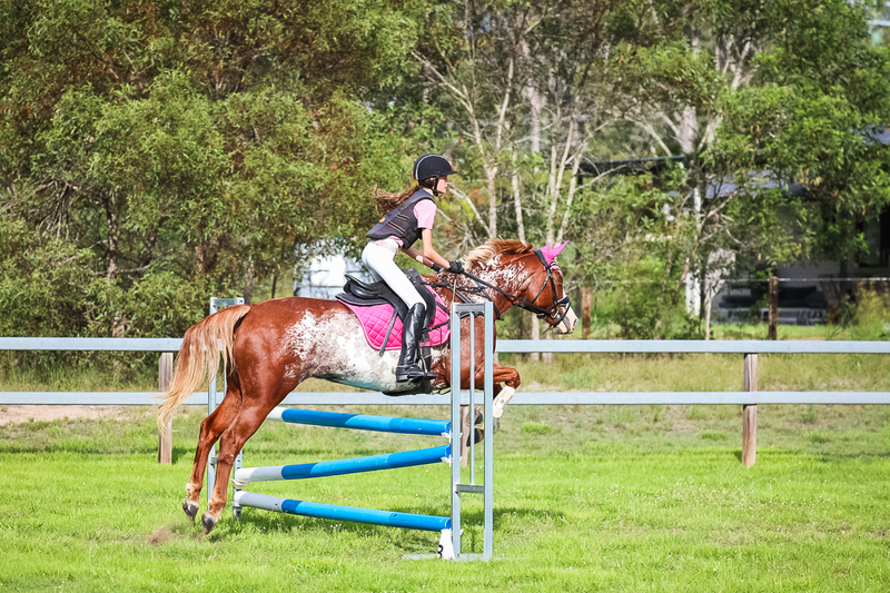 SREC March 2026 85-8237.jpg