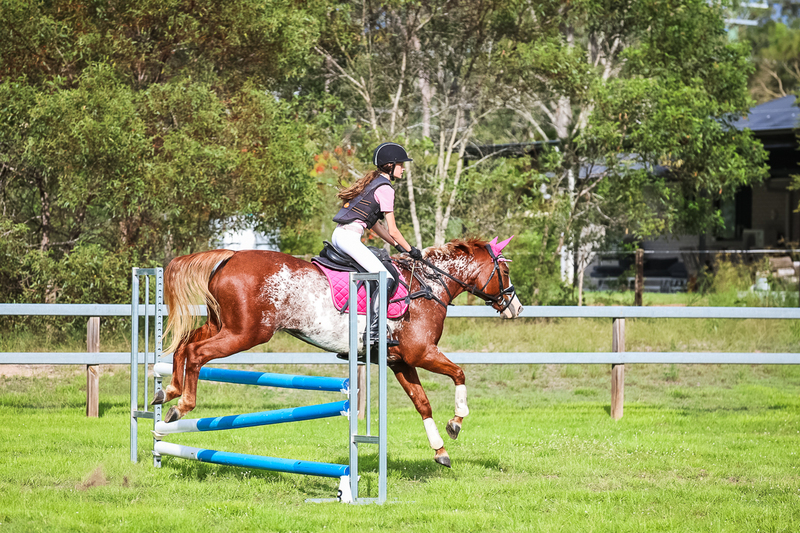 SREC March 2026 85-8238.jpg