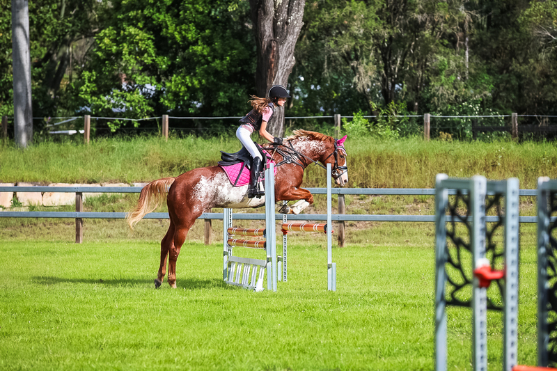 SREC March 2026 85-8240.jpg