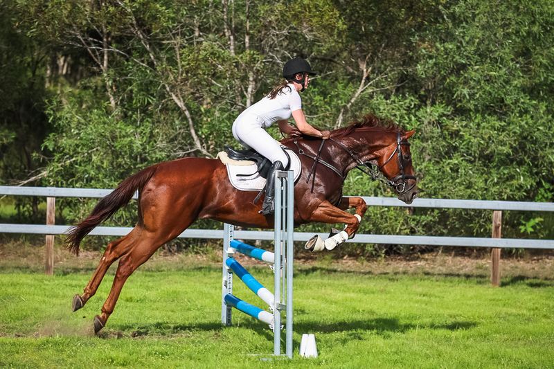 SREC March 2026 85-8285.jpg