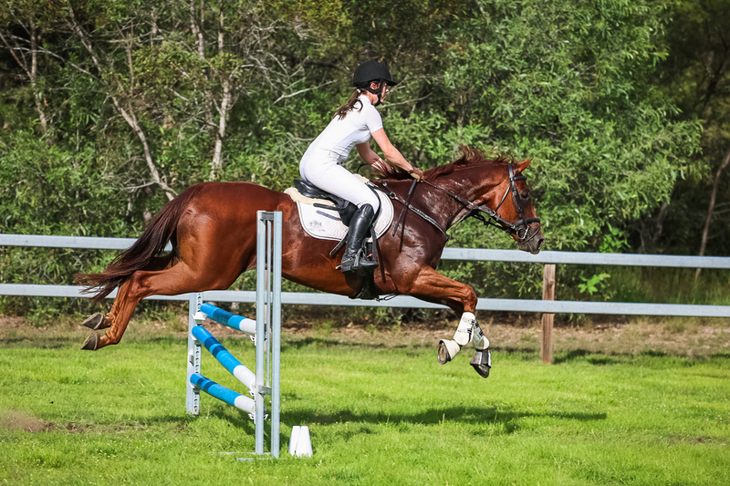 SREC March 2026 85-8286.jpg