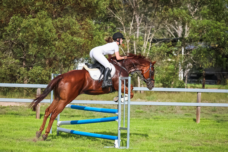 SREC March 2026 85-8287.jpg