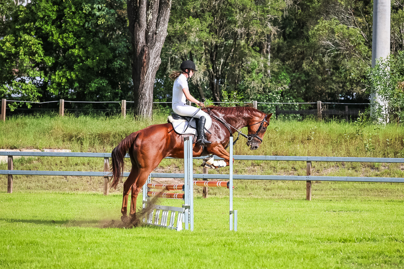 SREC March 2026 85-8289.jpg