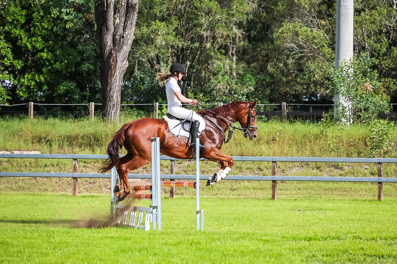 SREC March 2026 85-8290.jpg