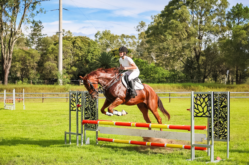 SREC March 2026 85-8291.jpg