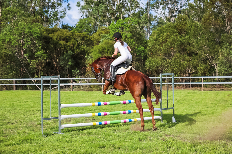 SREC March 2026 85-8294.jpg