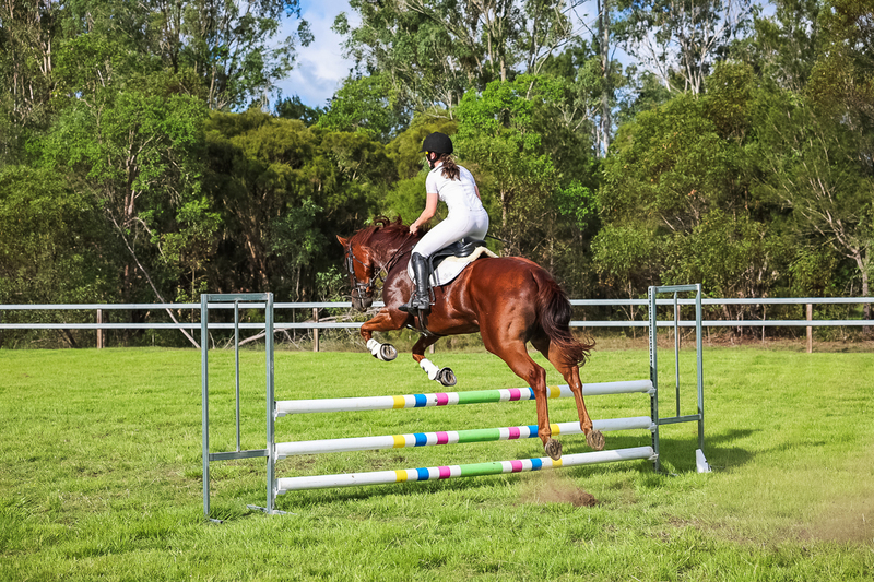 SREC March 2026 85-8295.jpg