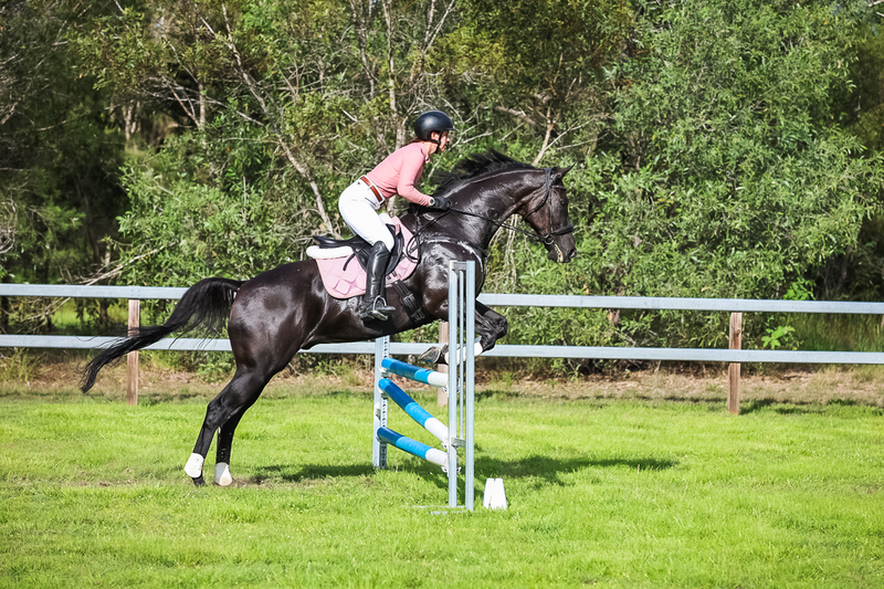 SREC March 2026 85-8308.jpg