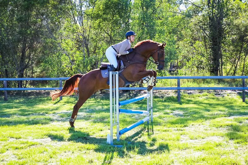 SREC March 2026 95-5664.jpg