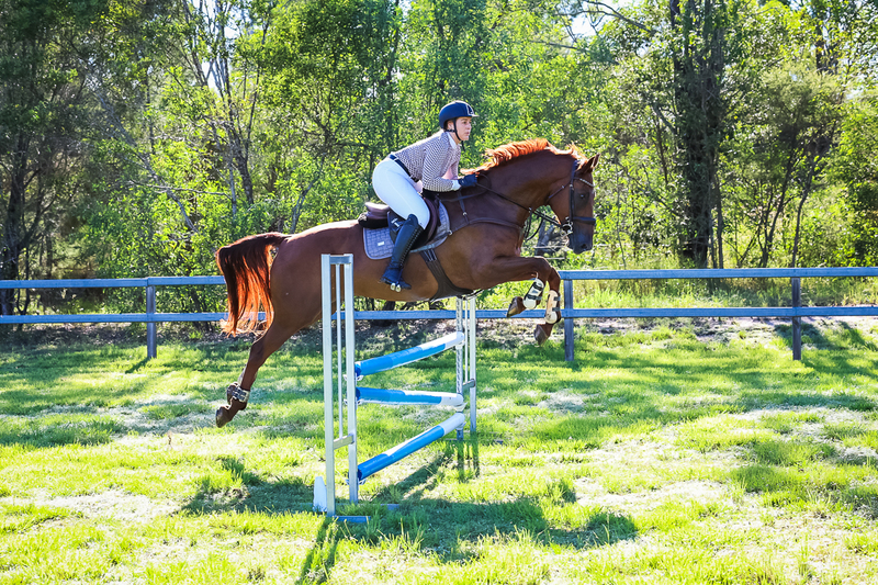 SREC March 2026 95-5665.jpg