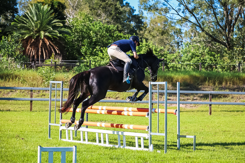 SREC March 2026 95-5695.jpg